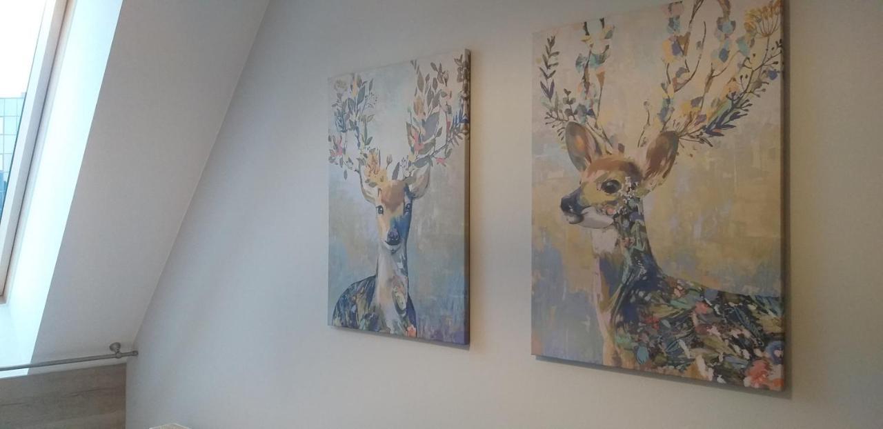 Apartamenty Nad Niwka Bielsko-Biała Dış mekan fotoğraf
